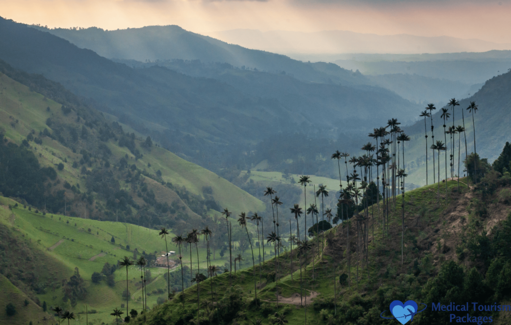 Discover the lush valley landscape of Colombia, where tall, slender palm trees grace rolling hills under a cloudy sky—a true gem among tourist attractions.