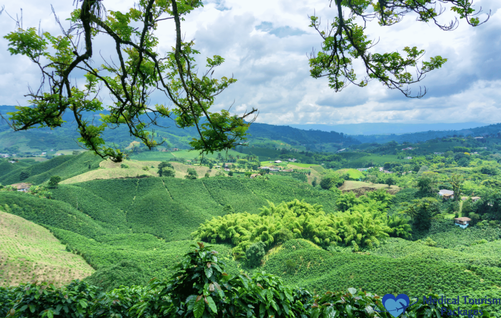 Lush green hills under a cloudy sky, partially obscured by branches in the foreground, offer an exquisite view of Colombia's hidden charm. Small houses are scattered among the hills, creating a serene backdrop perfect for any tourist guide exploring lesser-known attractions.