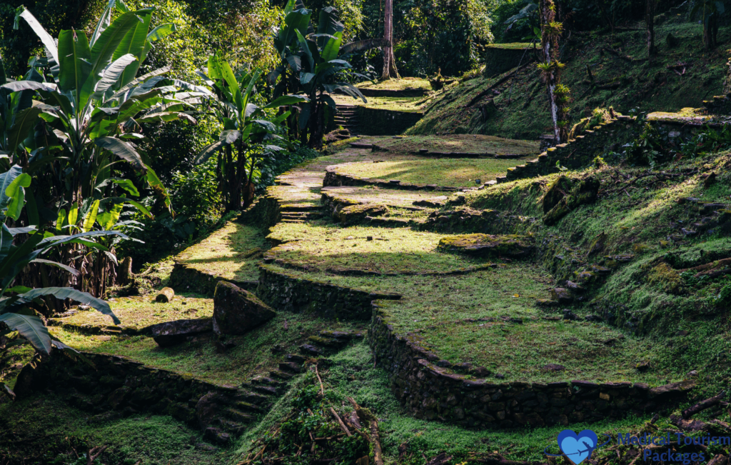 Stone steps covered in moss lead through a lush, green forested area, revealing one of Colombia's hidden gems. Perfect for intrepid explorers and guided tours alike, it's a must-visit on any list of the nation's top tourist attractions.