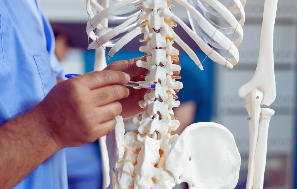 Medical professional in light blue scrubs pointing with pen at detailed anatomical model of human spine and ribcage, demonstrating spinal structure in well-lit clinical setting, highlighting surgical expertise