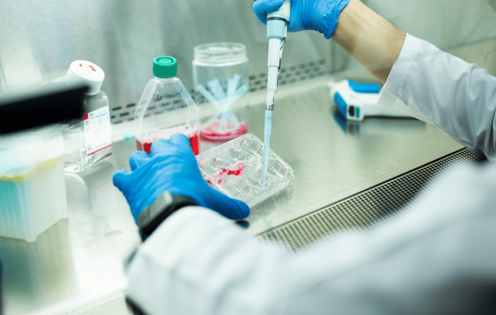 In a lab setting, a scientist in blue gloves uses a pipette to transfer liquid into a multi-well plate, following protocols outlined in a comprehensive guide on stem cell transplant techniques.