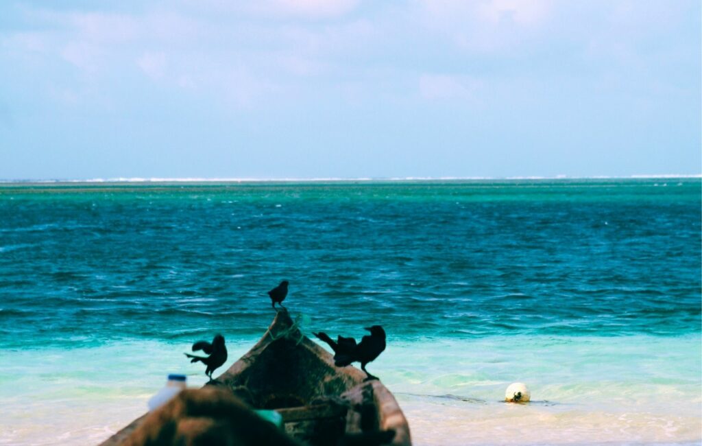 Un barco de madera con varios pájaros a bordo descansa en la orilla de una playa de Panamá, con vistas al mar turquesa bajo un cielo parcialmente nublado, ofreciendo una experiencia de serenidad a menudo buscada por los turistas médicos que exploran las atracciones locales.